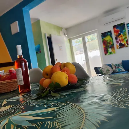 Musa Balbisiana Casa Citrus *